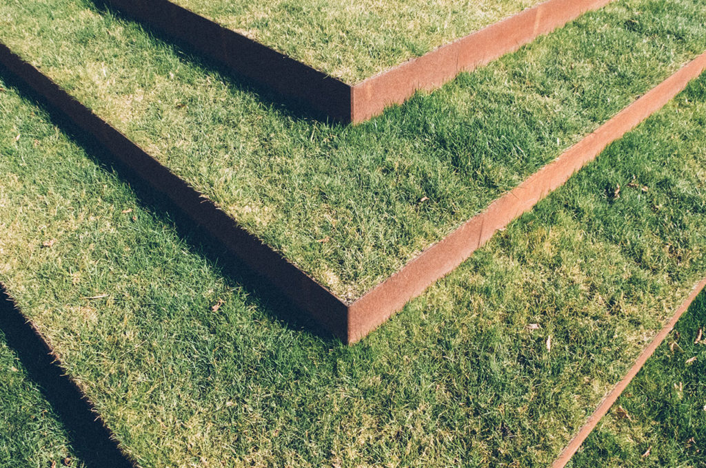 4 Signs That It’s Time to Replace Your Grass