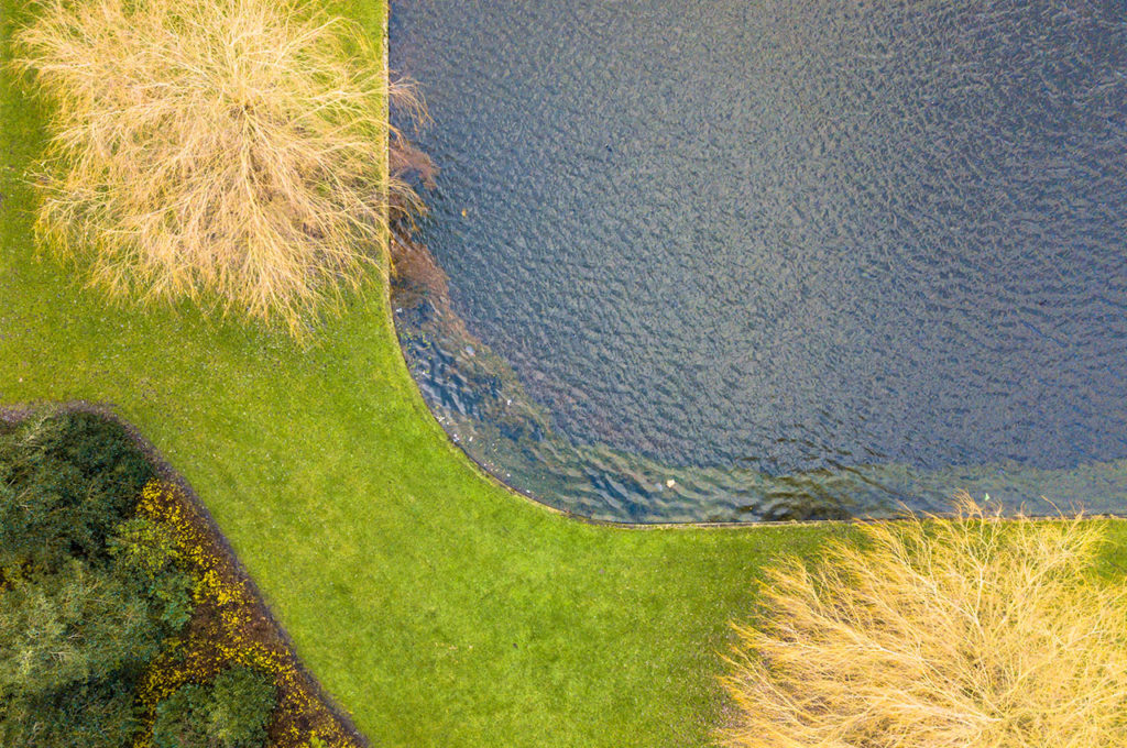 Bayside Sod’s Grass Lawn Type Guide