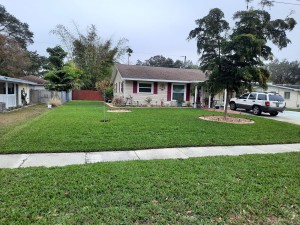 DNU Bayside Sod Provista Install 2