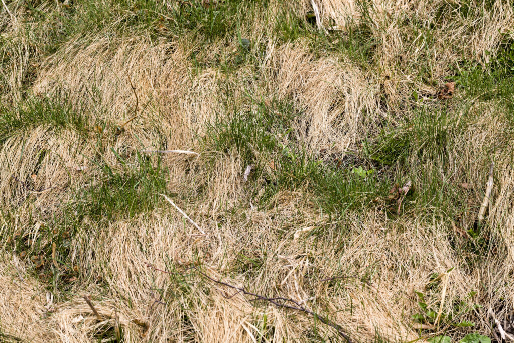 S5 Dc119997779fec11de76c127472a4407