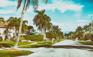 Beautiful street of Floirda with palms and homes