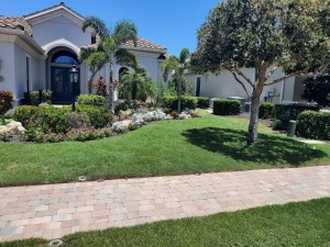 DNU Bayside Sod Zoysia Yard